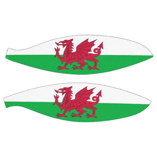 フルサイズバスケットボール（ウェールズ州旗あり），イギリス バスケットボール (パネル)