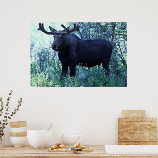 フルサイズマウス ポスター (キッチン)