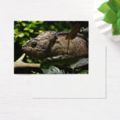 フルシファー・アウスターレ (デスク)