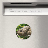 フルシファー・アウスターレ マグネット (インサイチュ (食洗機))