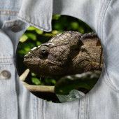 フルシファー・アウスターレ 缶バッジ (インサイチュ)