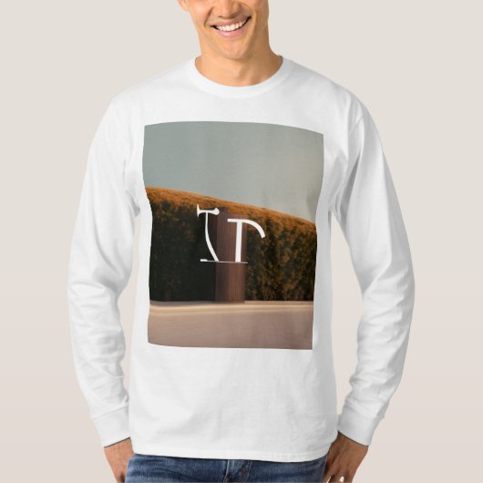 フルセルフデザインの色ユニーク Tシャツ (正面)