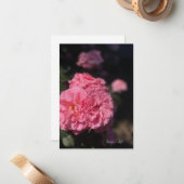 フルピンクのバラ ノートカード (正面/裏面インサイチュ)