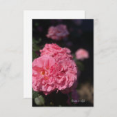 フルピンクのバラ ノートカード (正面/裏面)