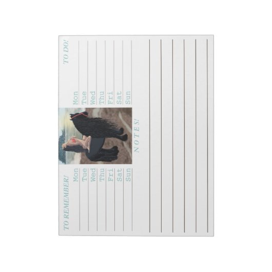 フルフィルメント – メモ帳 (回転)