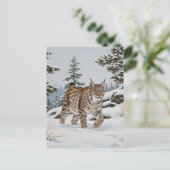 フルフイェレットのリンクス国立公園スウェーデントラベル ポストカード (スタンド正面)