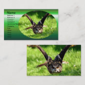 フルフライトのワイルドイーグルフクロウ 名刺 (正面/裏面)