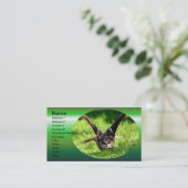 フルフライトのワイルドイーグルフクロウ 名刺 (スタンド正面)