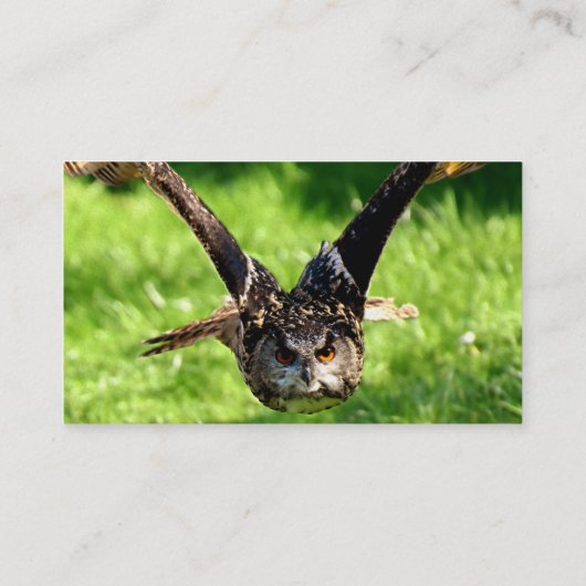 フルフライトのワイルドイーグルフクロウ 名刺 (裏面)