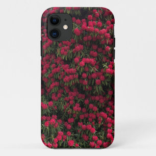 フルフラワーのシャクナゲの低木 iPhone 11 ケース