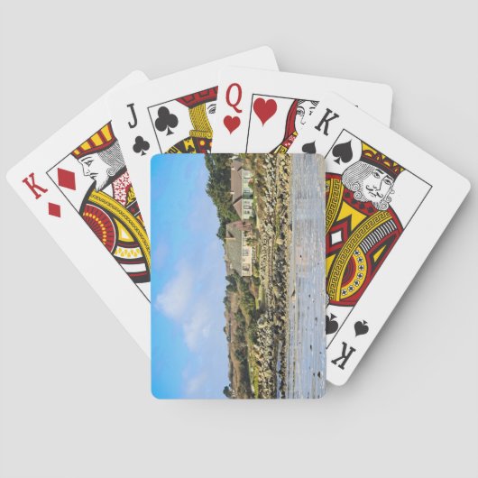 フルボ トランプ (裏面)