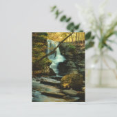 フルマー秋の秋 ポストカード (スタンド正面)