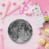 フルムーンパイデイおもしろい ペーパープレート (パーティー)