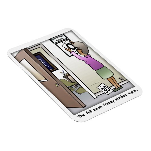 フルムーンフレンジー可撓性マグネット マグネット (右側)