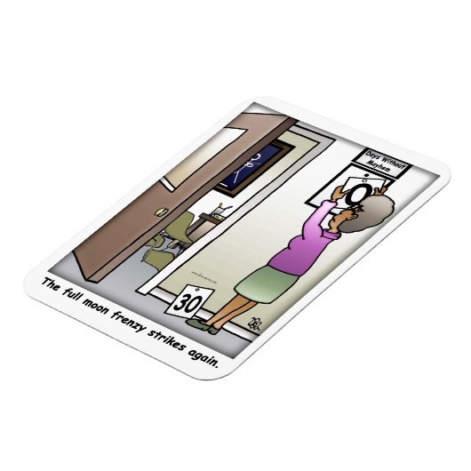 フルムーンフレンジー可撓性マグネット マグネット (左側)