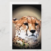 フルムーンポートレート:自然の恵み 便箋 (正面/裏面)