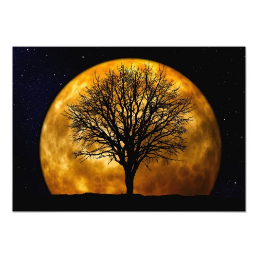 フルムーンミッドナイトフォトプリント フォトプリント            (正面)