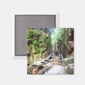 フルメゴルジュニューハンプシャーマグネット マグネット (正面/裏面)