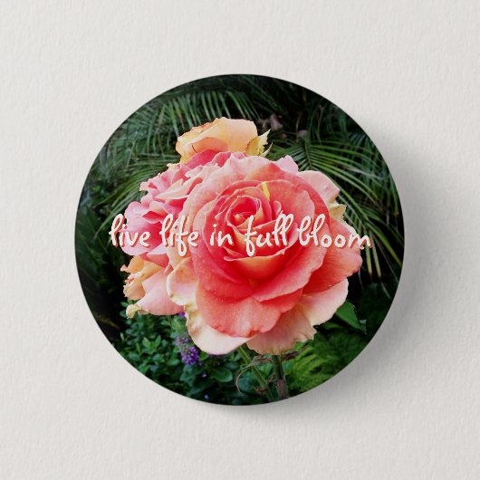 フルライフ開花引用文ピンクのローズフォト 缶バッジ (正面)