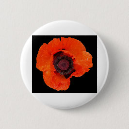 フルーアデパヴォアペルスラプリエ 缶バッジ