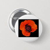 フルーアデパヴォアペルスラプリエ 缶バッジ (正面&裏面)