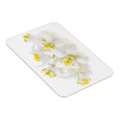 フルーアドルガー マグネット (右側)