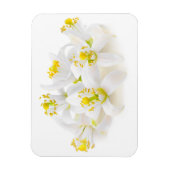 フルーアドルガー マグネット (縦)