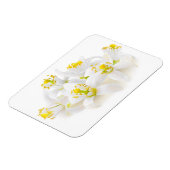 フルーアドルガー マグネット (左側)