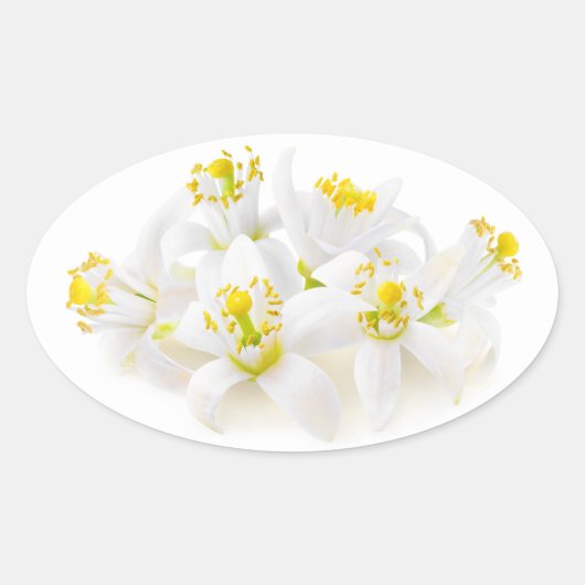 フルーアドルガー 楕円形シール (正面)