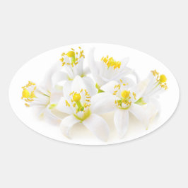 フルーアドルガー 楕円形シール