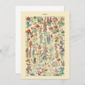 フルーア植物野草園芸図 (正面/裏面)