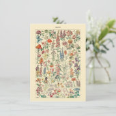 フルーア植物野草園芸図 (スタンド正面)