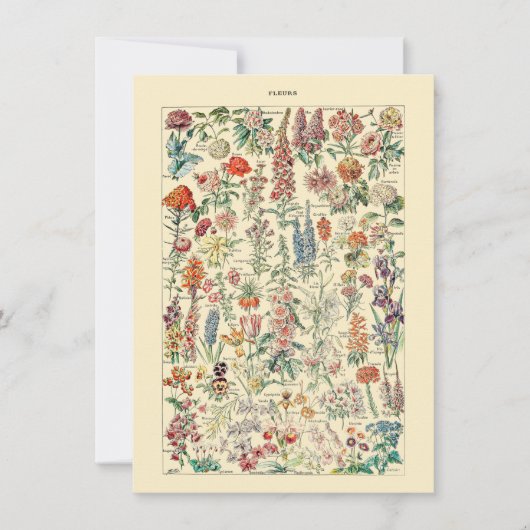 フルーア植物野草園芸図 (正面)