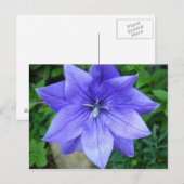 フルーア血 ポストカード (正面/裏面)