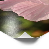 フルーア、コダックプロフェッショナル写真 フォトプリント            (角)