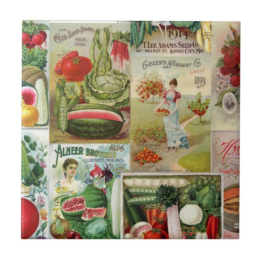 フルーツおよび野菜の種カタログのコラージュ タイル (正面)