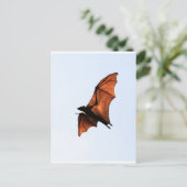 フルーツこうもり飛んでいる(キツネ) ポストカード (スタンド正面)