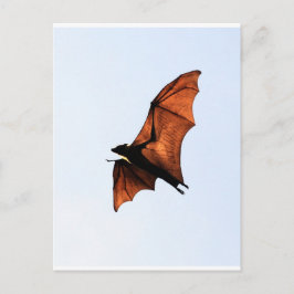 フルーツこうもり飛んでいる(キツネ) ポストカード