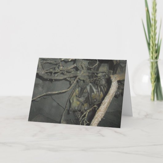 「フルーツこうもり」ハローエンカード カード (正面)