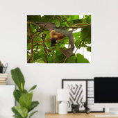 フルーツこうもり ポスター (ホームオフィス)