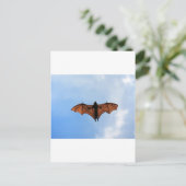 フルーツこうもり ポストカード (スタンド正面)