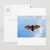 フルーツこうもり ポストカード (正面/裏面)