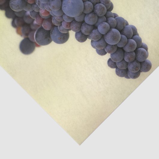フルーツと美しぶら下がったいブドウつる植物 薄葉紙 (詳細)