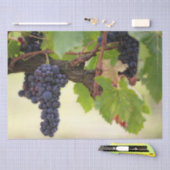 フルーツと美しぶら下がったいブドウつる植物 薄葉紙 (クラフト)