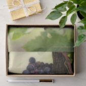 フルーツと美しぶら下がったいブドウつる植物 薄葉紙 (ギフト)