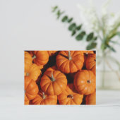 フルーツと食べ物はがき17 ポストカード (スタンド正面)