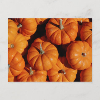 フルーツと食べ物はがき17 ポストカード