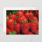 フルーツと食べ物はがき3 ポストカード (正面/裏面)