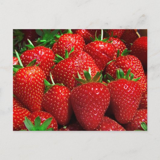 フルーツと食べ物はがき3 ポストカード (正面)