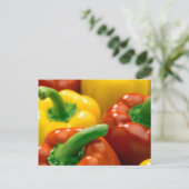 フルーツと食べ物はがき74 ポストカード (スタンド正面)